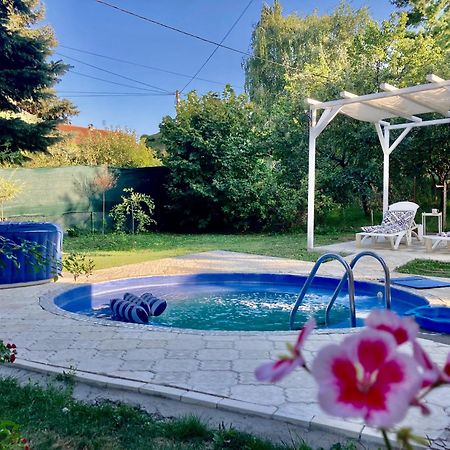White House With Sauna And Jacuzzi Novi Sad Bagian luar foto