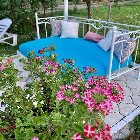 White House With Sauna And Jacuzzi Novi Sad Bagian luar foto