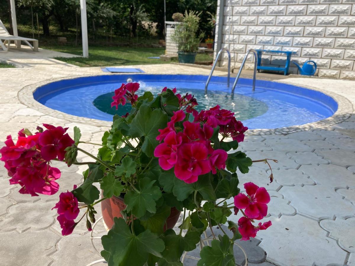 White House With Sauna And Jacuzzi Novi Sad Bagian luar foto