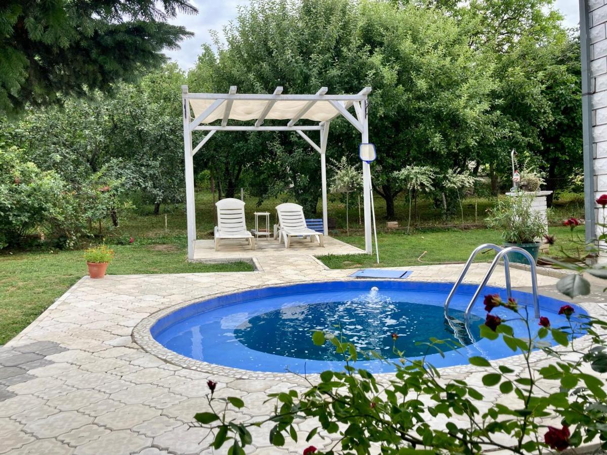 White House With Sauna And Jacuzzi Novi Sad Bagian luar foto