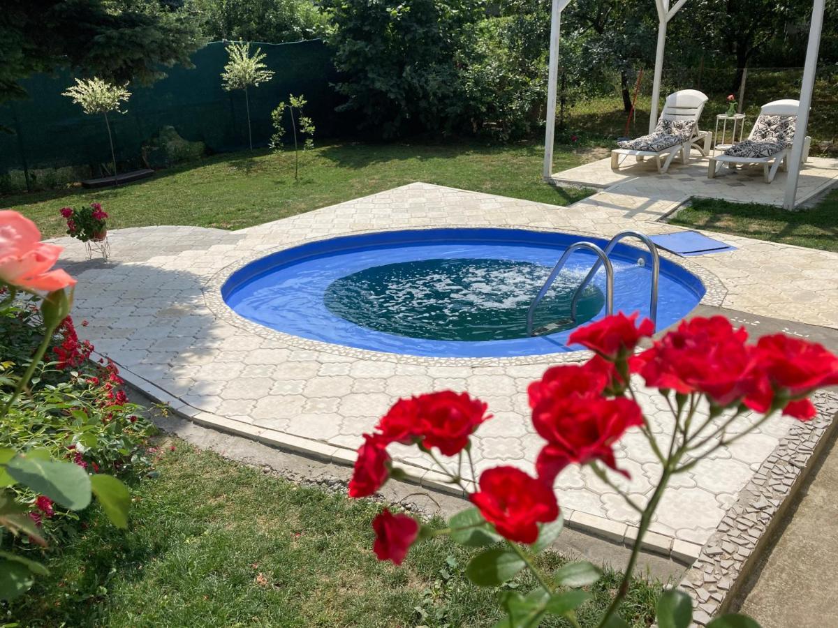 White House With Sauna And Jacuzzi Novi Sad Bagian luar foto