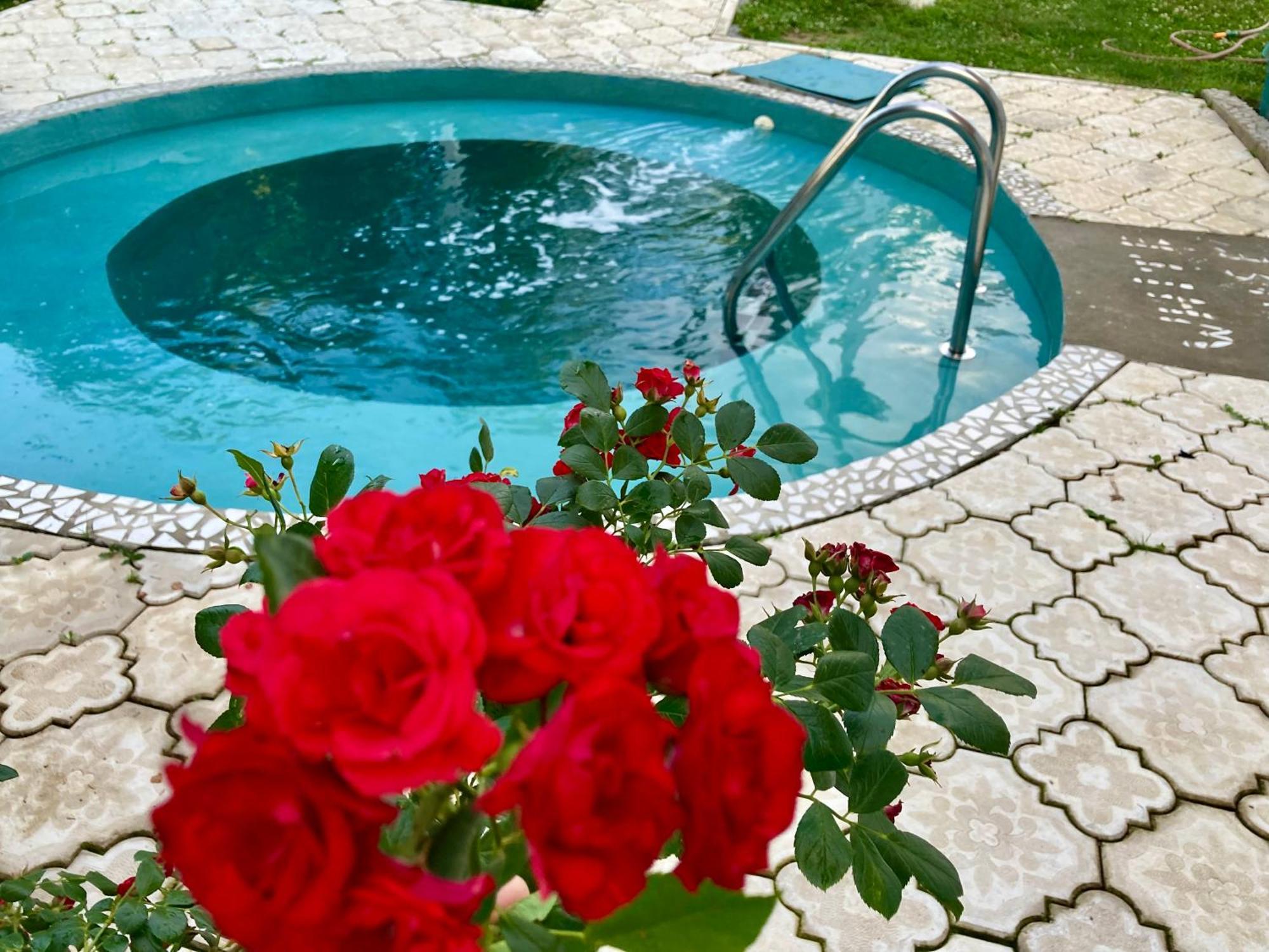 White House With Sauna And Jacuzzi Novi Sad Bagian luar foto