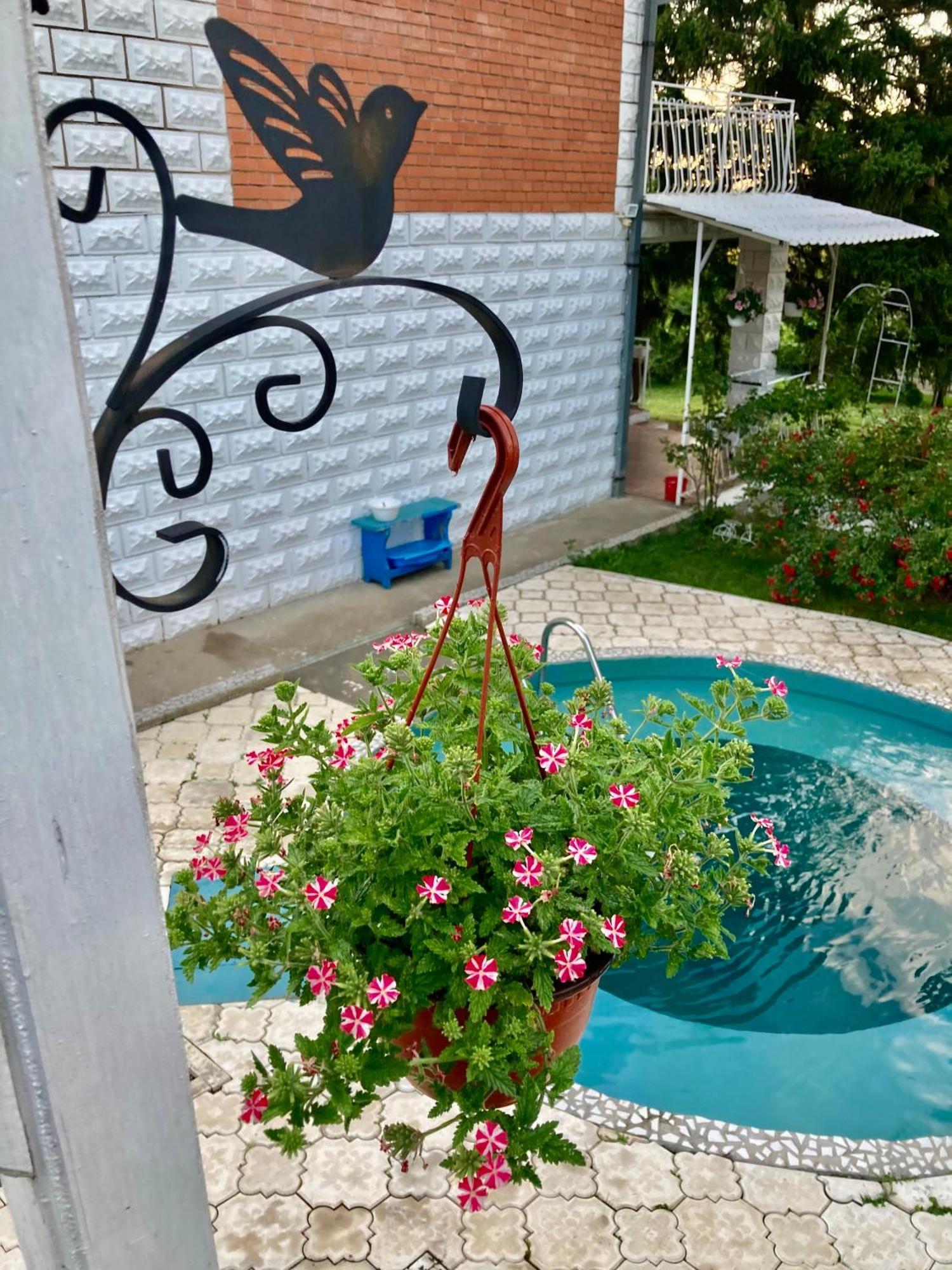 White House With Sauna And Jacuzzi Novi Sad Bagian luar foto