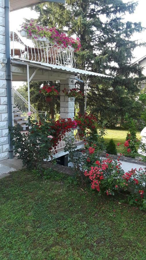 White House With Sauna And Jacuzzi Novi Sad Bagian luar foto