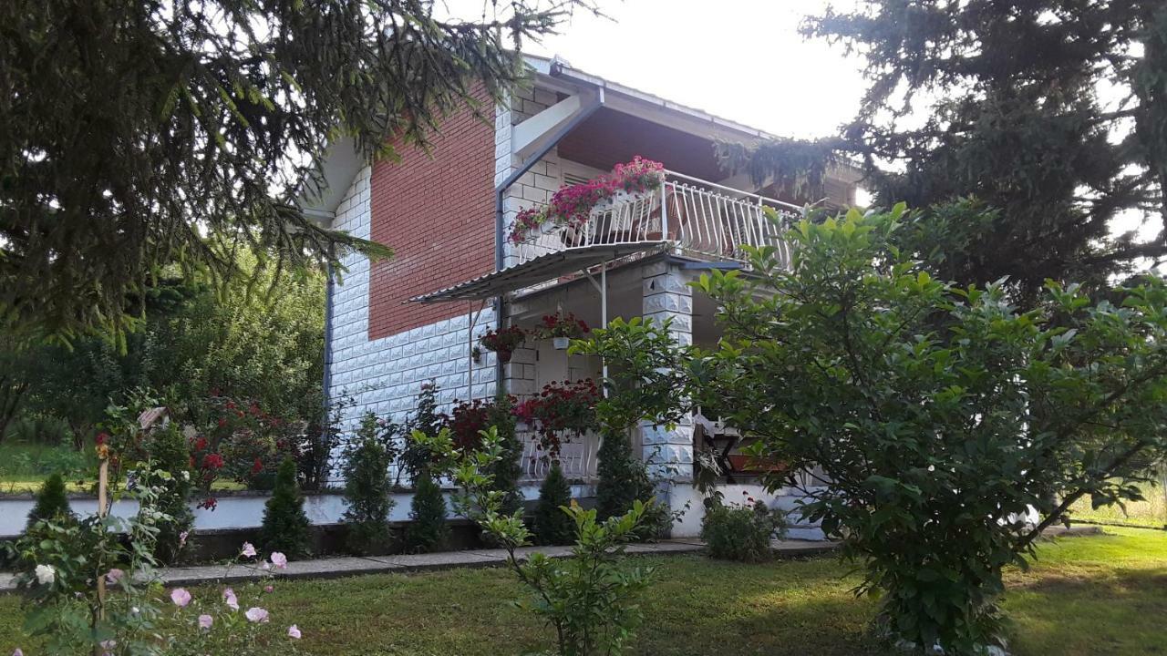 White House With Sauna And Jacuzzi Novi Sad Bagian luar foto