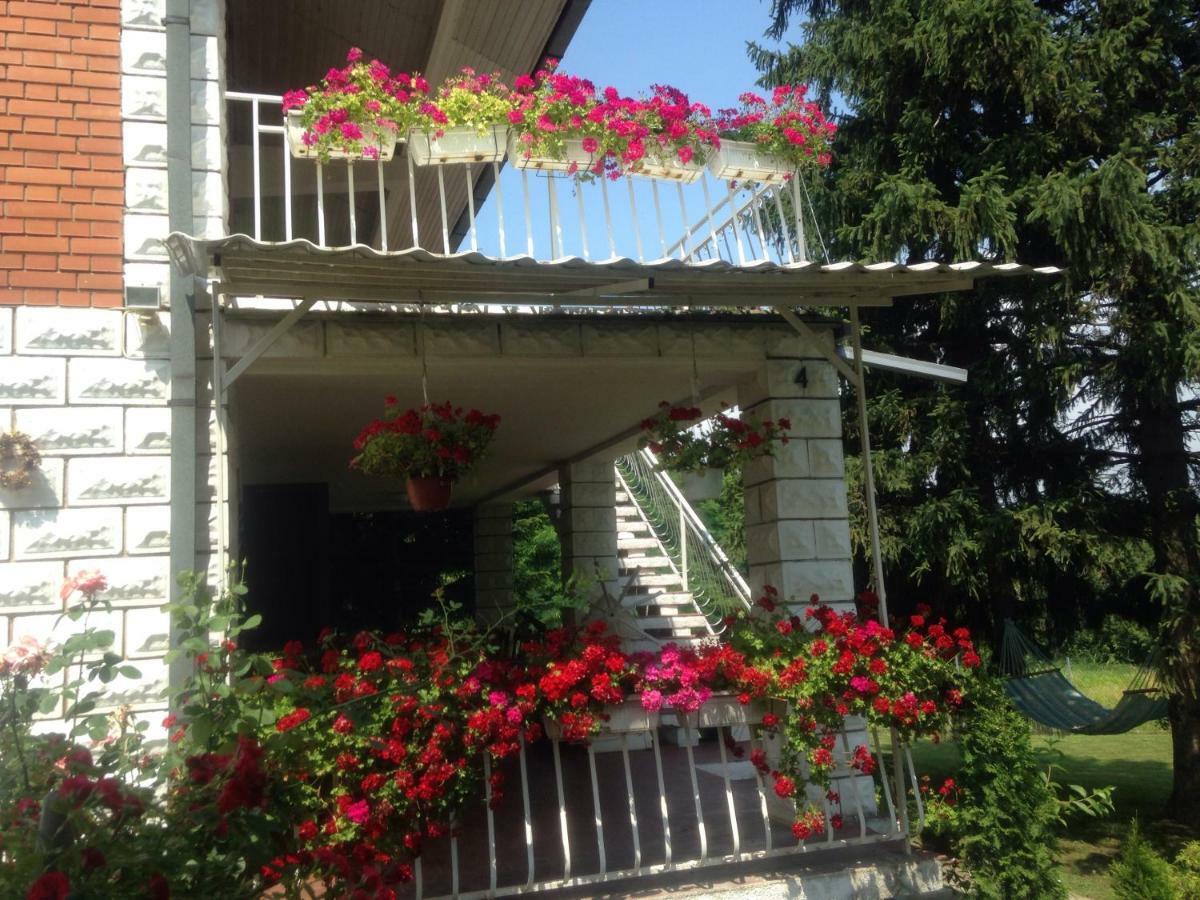 White House With Sauna And Jacuzzi Novi Sad Bagian luar foto