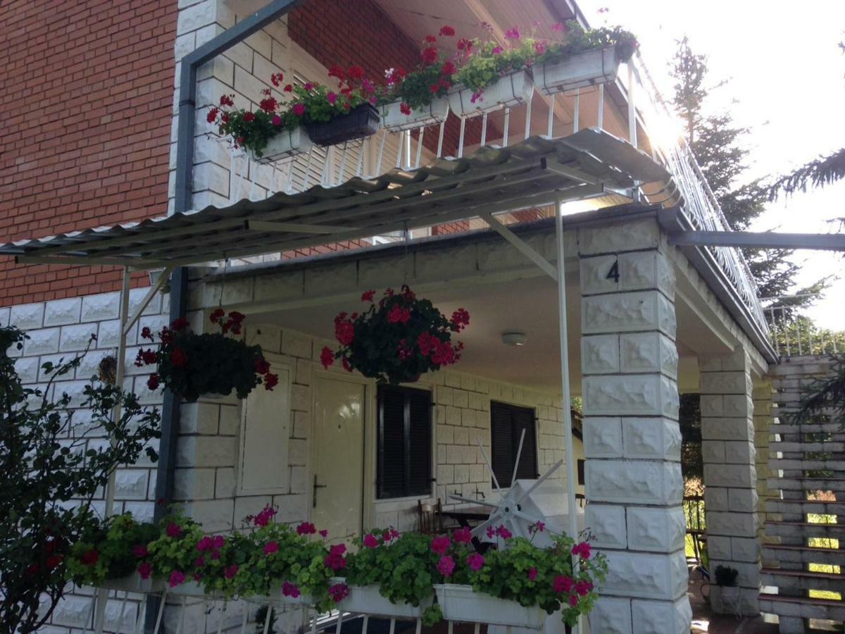 White House With Sauna And Jacuzzi Novi Sad Bagian luar foto