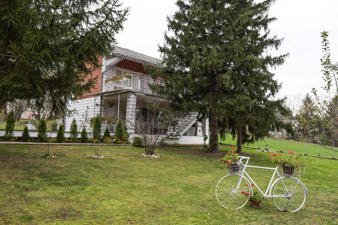 White House With Sauna And Jacuzzi Novi Sad Bagian luar foto