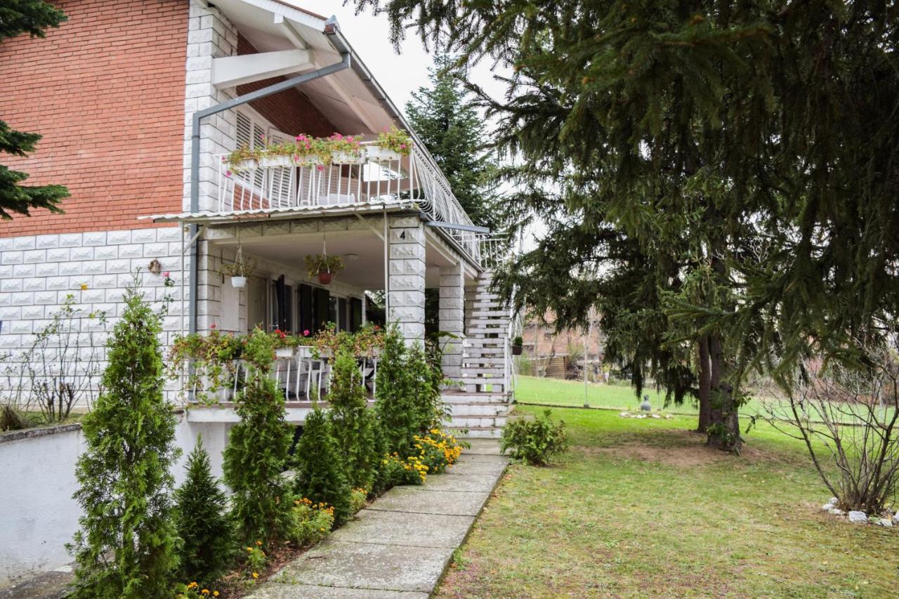 White House With Sauna And Jacuzzi Novi Sad Bagian luar foto